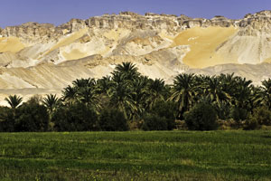 Dakhla Oasis in Egypt's Western Desert